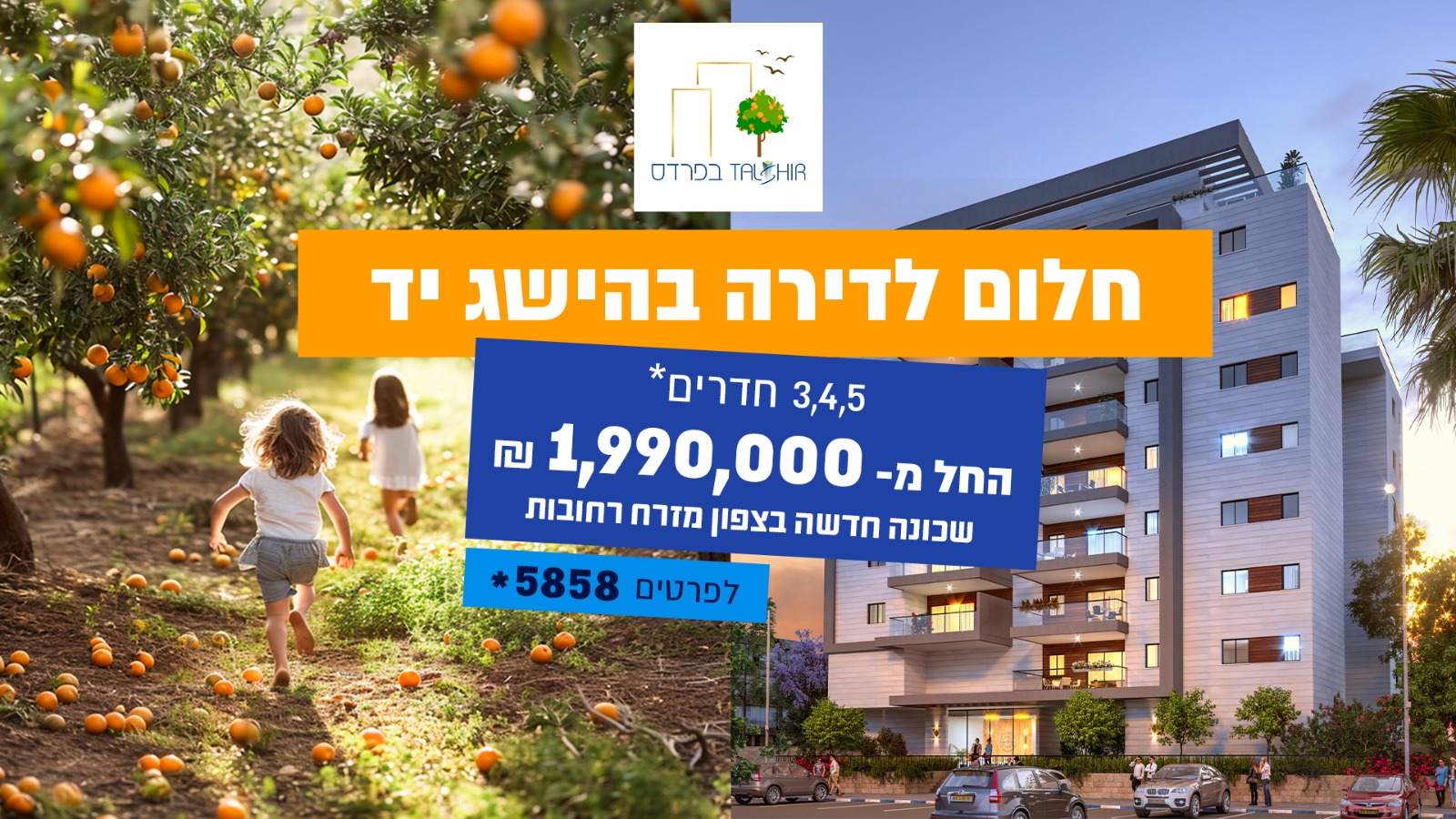 טלשיר בפרדס